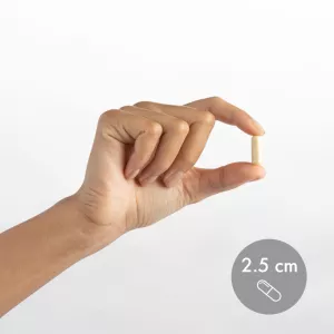 B Komplex vitamíny Dr. Mercola