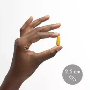 Berberine & MicroPQQ Advanced - 30 kapslí (30 dní) Dr. Mercola