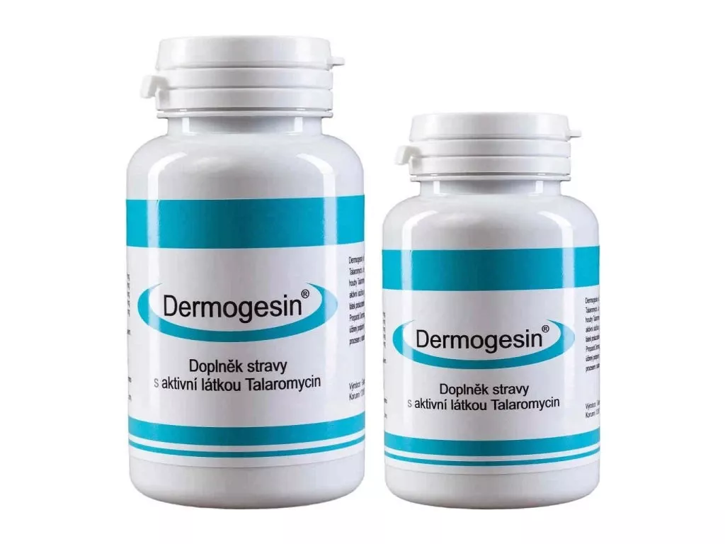 Dermogesin Gesmed Biotec s.r.o.