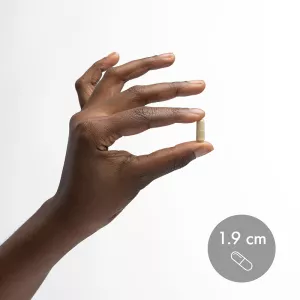 Enzyme: Full Spectrum 90 kapslí (30 dní) Dr. Mercola Enzyme: Full Spectrum 90 kapslí (30 dní) Dr. Mercola