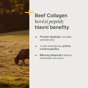 Hydrolyzovaný hovězí kolagen typ I a III – 450 g Trime s.r.o. Hydrolyzovaný hovězí kolagen typ I a III – 450 g Trime s.r.o.