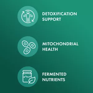 Organické fermentované brokolicové klíčky - 30 kapslí (30 dní) Dr. Mercola Organické fermentované brokolicové klíčky - 30 kapslí (30 dní) Dr. Mercola