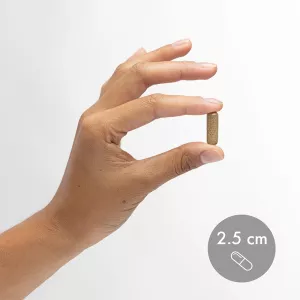 Organické fermentované brokolicové klíčky - 30 kapslí (30 dní) Dr. Mercola Organické fermentované brokolicové klíčky - 30 kapslí (30 dní) Dr. Mercola