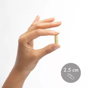 Quercetin and Pterostilbene Advanced 60 kapslí (30 dní) Dr. Mercola