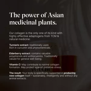 Veganský kolagen typu II (kosti a klouby) - vanilková příchuť 180g Vetain GmbH Veganský kolagen typu II (kosti a klouby) - vanilková příchuť 180g Vetain GmbH