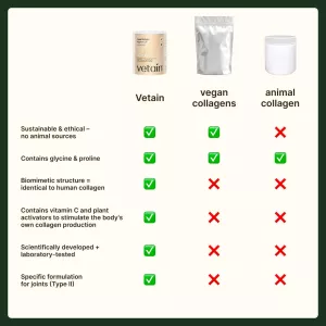 Veganský kolagen typu II (kosti a klouby) - vanilková příchuť 180g Vetain GmbH Veganský kolagen typu II (kosti a klouby) - vanilková příchuť 180g Vetain GmbH