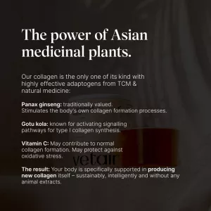 Veganský kolagen typu I (kůže, vlasy, nehty) - vanilková příchuť 180g Vetain GmbH Veganský kolagen typu I (kůže, vlasy, nehty) - vanilková příchuť 180g Vetain GmbH